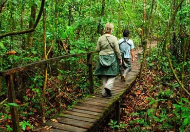 Caminata en Tambopata1