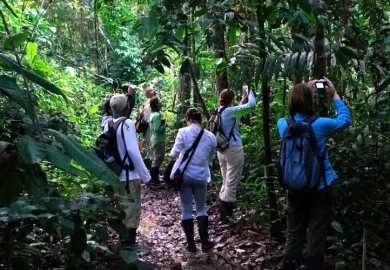 Caminata en Tambopata2