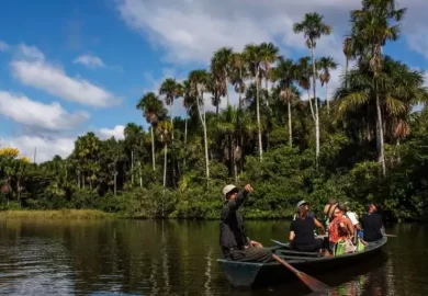 Caminata en Tambopata6