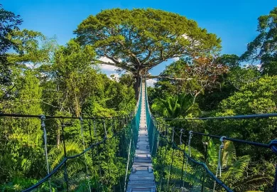 Caminata en Tambopata7