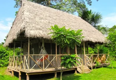 Caminata en Tambopata9