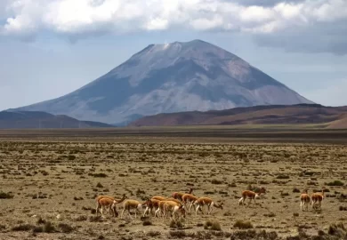Cañón del Colca a Puno