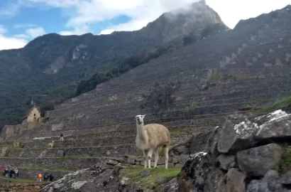 Machupicchu by Expedition-06