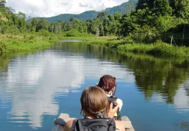 Vida silvestre en Manú, uno de los ecosistemas más diversos del mundo