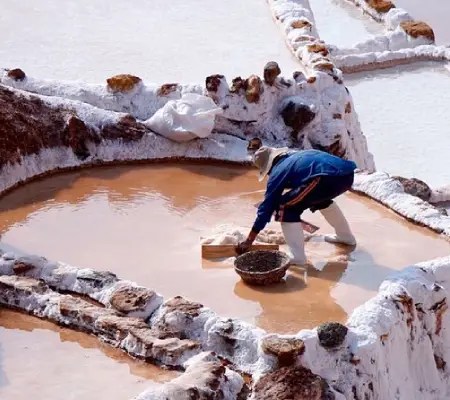 Maras Moray