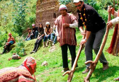 Participa en proyectos de conservación de medio ambiente