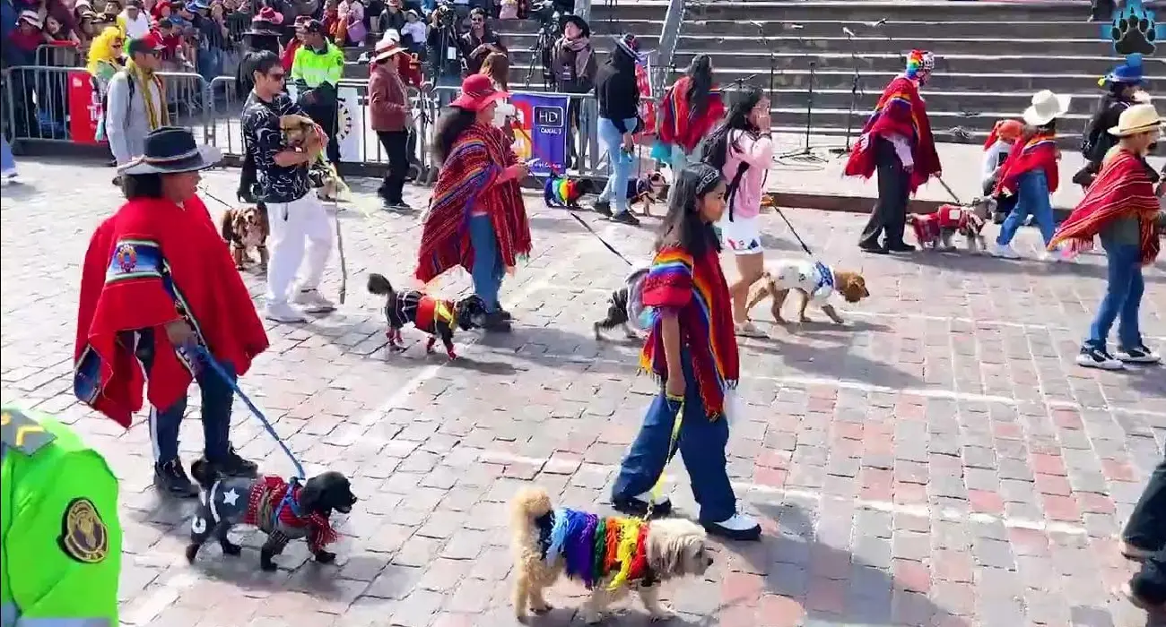 Pasacalle Canino de Cusco 2025: Tradición, Cultura y Amor por las Mascotas