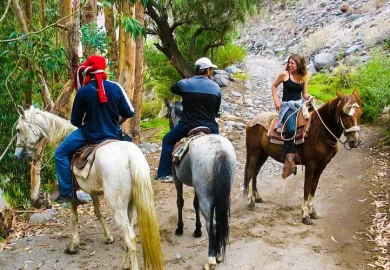 Paseo en Caballo Arequipa-3
