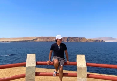 Ballestas, Paracas & Ruta del Pisco
