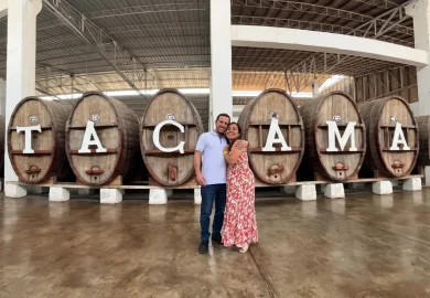 Tour Viñedos de Ica (Tacama, El catador, Tres Generaciones) Medio Día