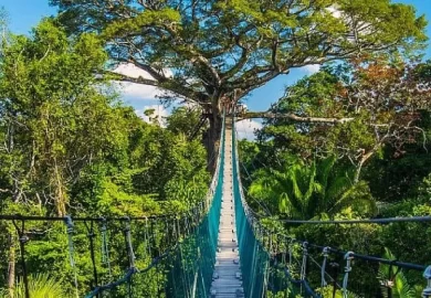 Todo lo que necesitas saber y que empacar para viajar a Tambopata