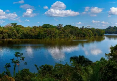 La mejor época para visitar Tambopata: Consejos para planificar tu aventura