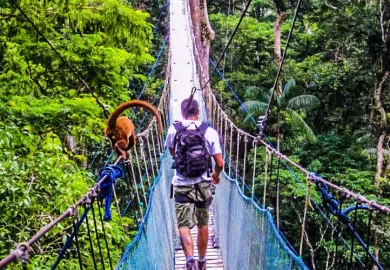 Tambopata Ecoaventura1