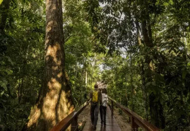 Tambopata Ecoaventura6