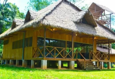 Tambopata Lodge: Una experiencia única