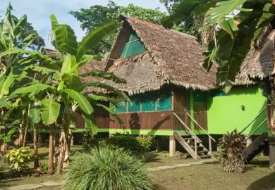 Tambopata Nativa8