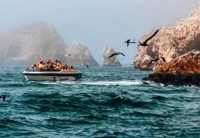 Tour Islas Ballestas en Ica, Ruta del Pisco Ica, Tour Paracas Ica1