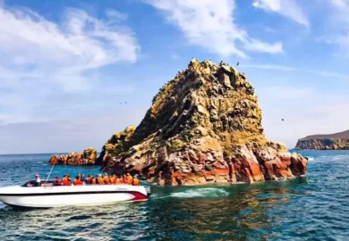 Tour Islas Ballestas en Ica, Ruta del Pisco Ica, Tour Paracas Ica3
