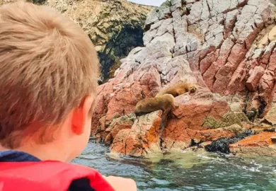 Tour a las Islas Ballestas en Ica-5