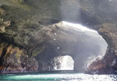 Tour a las Islas Ballestas en Ica-6