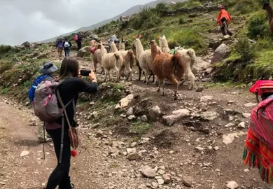 Turismo Vivencial Patacancha