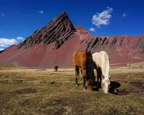 Valle Rojo