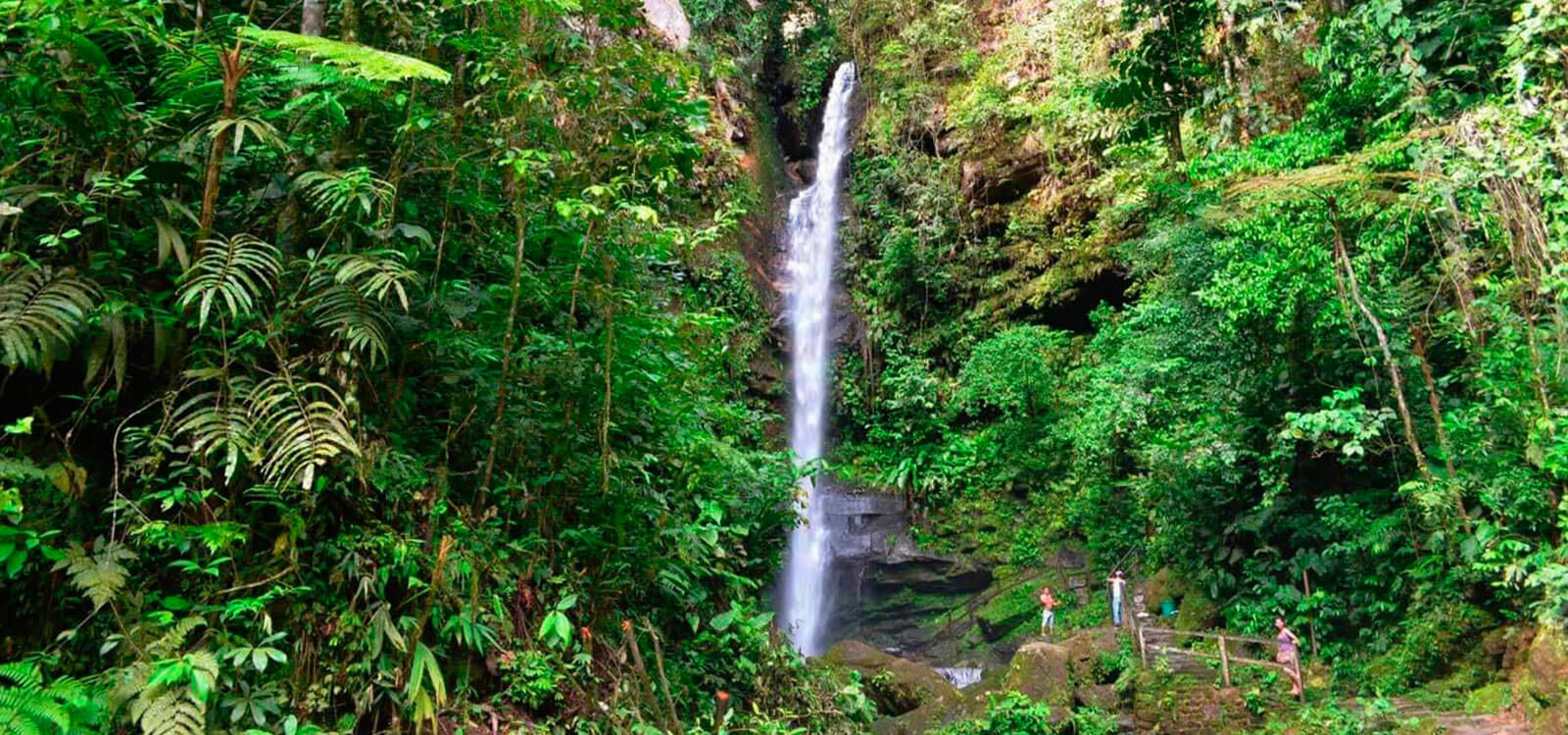 Tour Catarata Ahuashiyacu