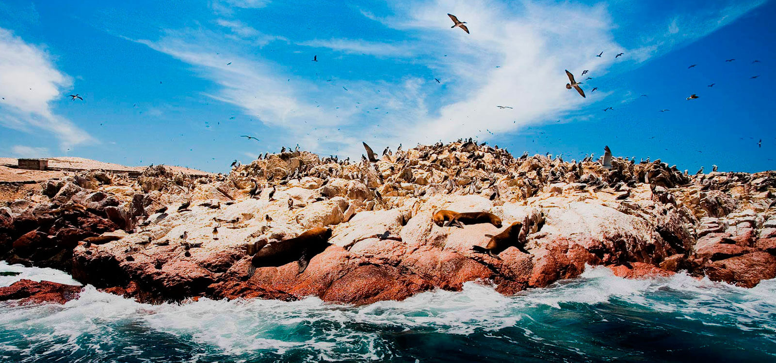 Islas Ballestas en Ica