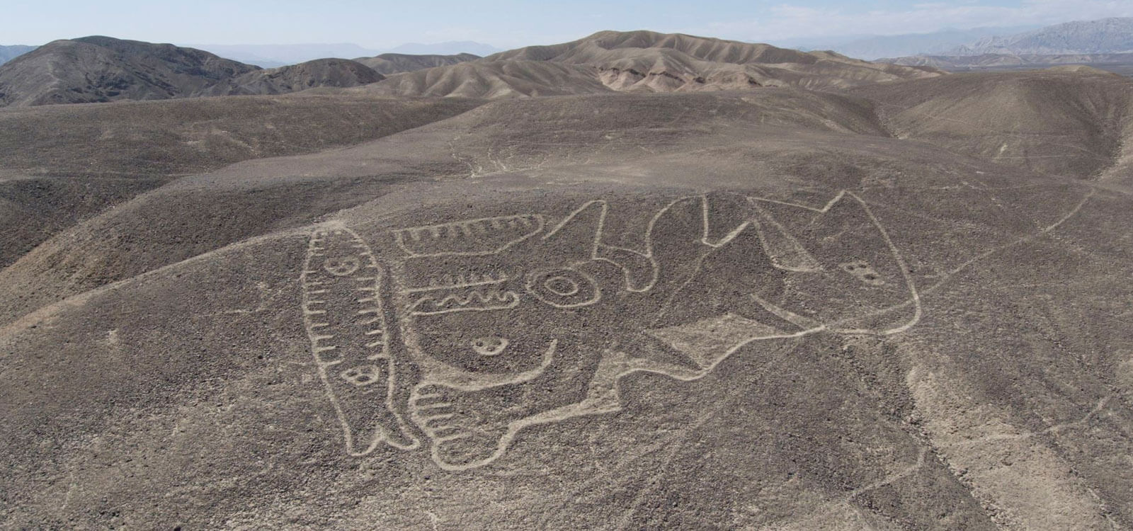Palpa Líneas de Nazca