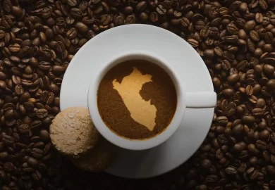 La Ruta del Café Peruano: De Chanchamayo a Villa Rica