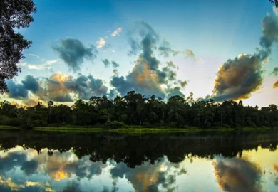 El Manu: Inmersión en la Biodiversidad de la Amazonía Peruana