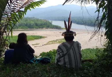 Los Impresionantes Tesoros Escondidos de la Selva Central del Perú