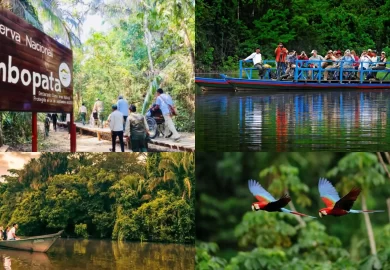 Descubriendo la Reserva Nacional de Tambopata: Explorando la Fauna y Flora en su Máximo Esplendor