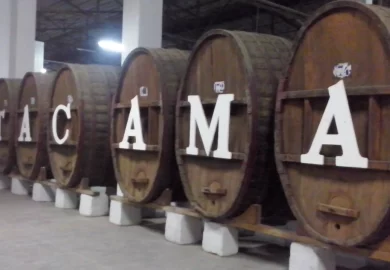 Tour de Vinos en Ica: Tacama, El Catador y Tres Generaciones
