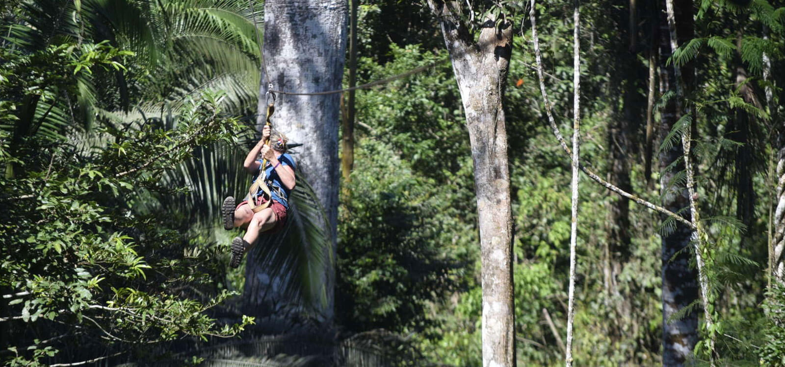 Zipline en tambopata